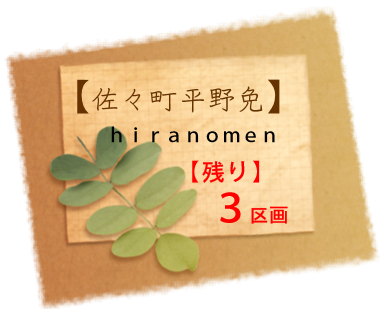 hiranomen h 29.1.9.png